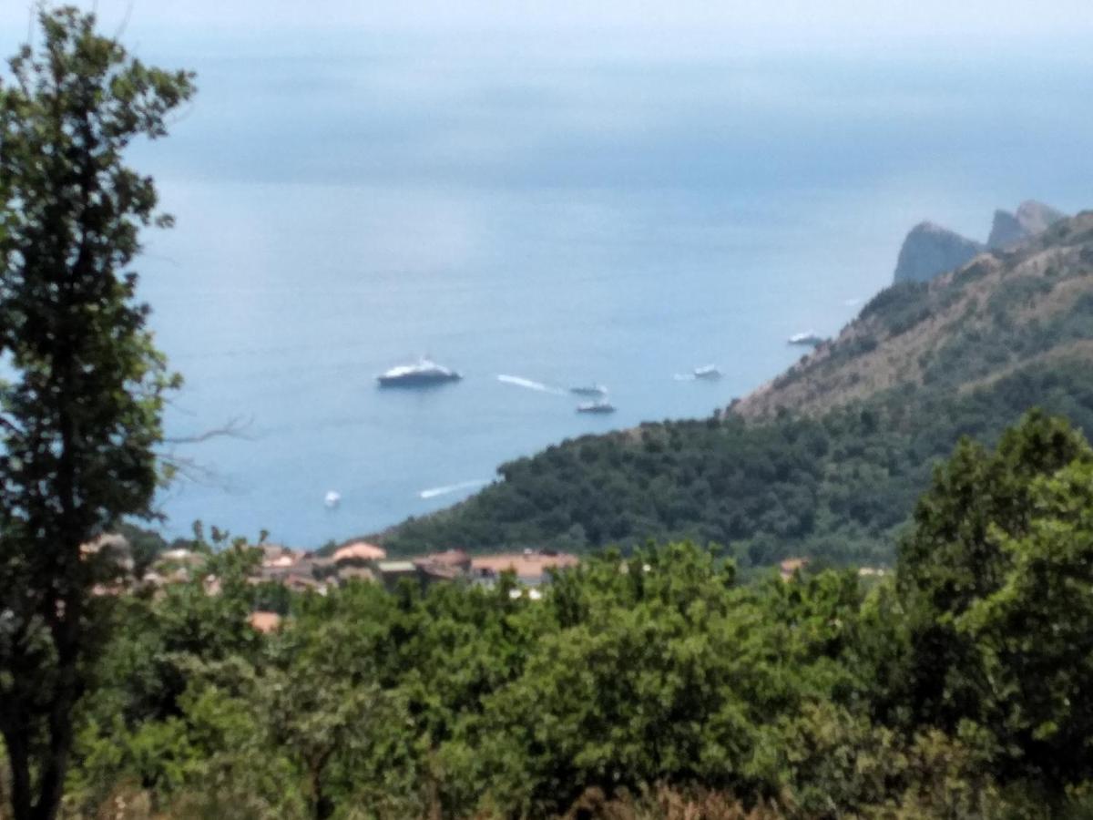 Villa Pietralta Sorrento Exteriér fotografie